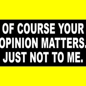 Funny &quot;Of Course Your Opinion Matters. Just Not to Me.&quot; VINYL DECAL, bumper sticker, back off, go away, new