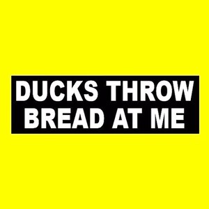 May include: Black and white sign with the text "Ducks Throw Bread At Me" on a yellow background.