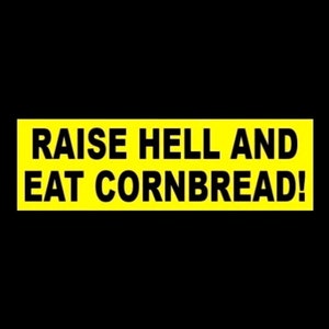 Funny &quot;Raise Hell and Eat Cornbread&quot; BUMPER STICKER Southern girl Dixie, redneck, hillbilly, trucker, decal, new