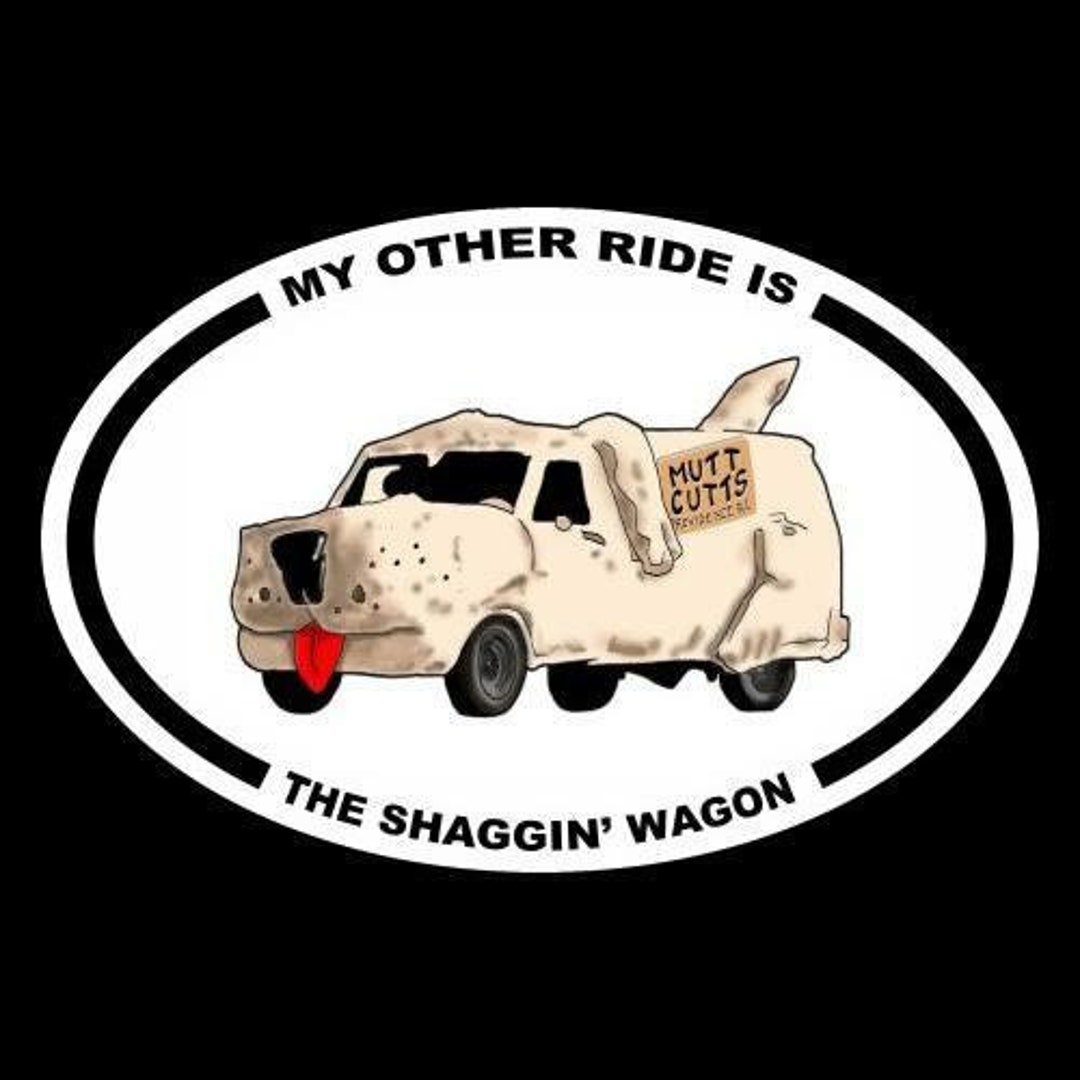 Funny my Other Ride is the Shaggin' Wagon DUMB Etsy