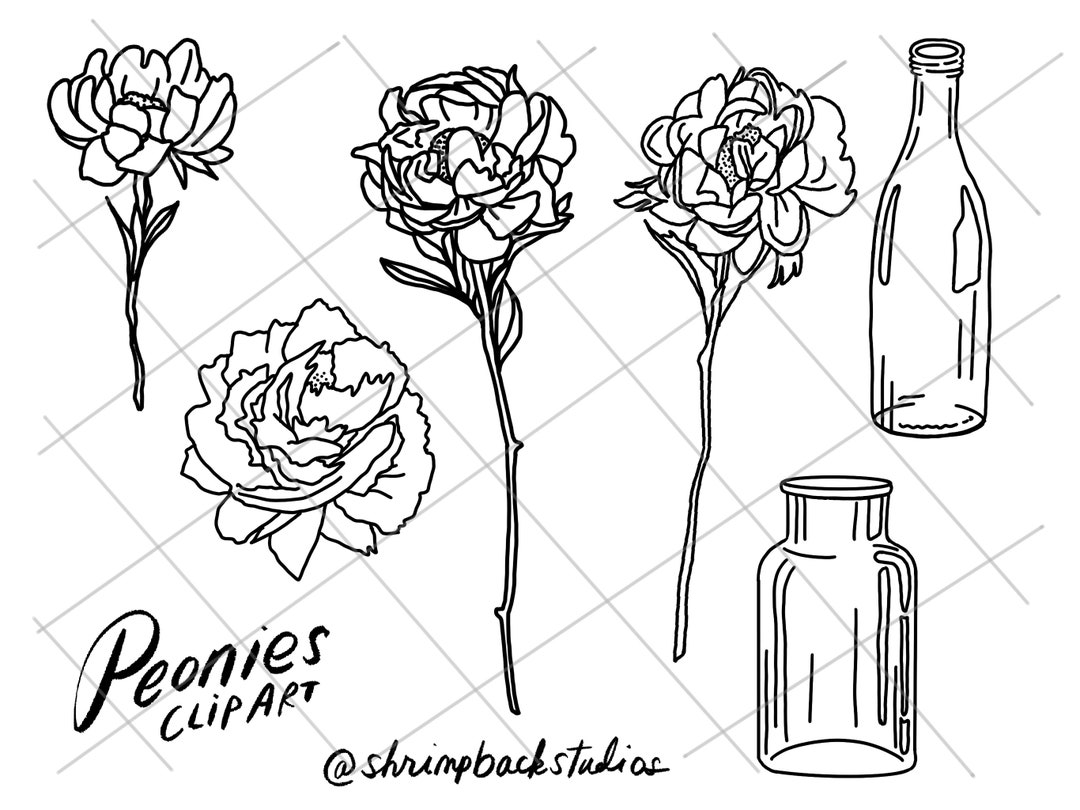 Peonies Clipart Designs Instant Download 300dpi - Etsy