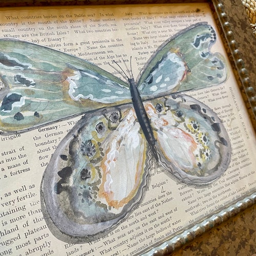 Butterfly Watercolor Framed Prints Set of shops Four (4)