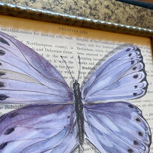 Butterfly Watercolor Framed Prints Set of shops Four (4)