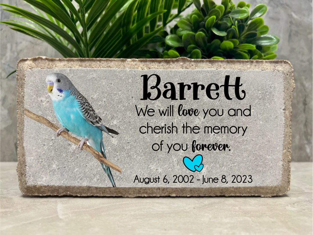 Memorial Bird Rip Parakeet Memorial Stone. Budgie. Pet Loss Memorial. 8x4 PERSONALIZED ...
