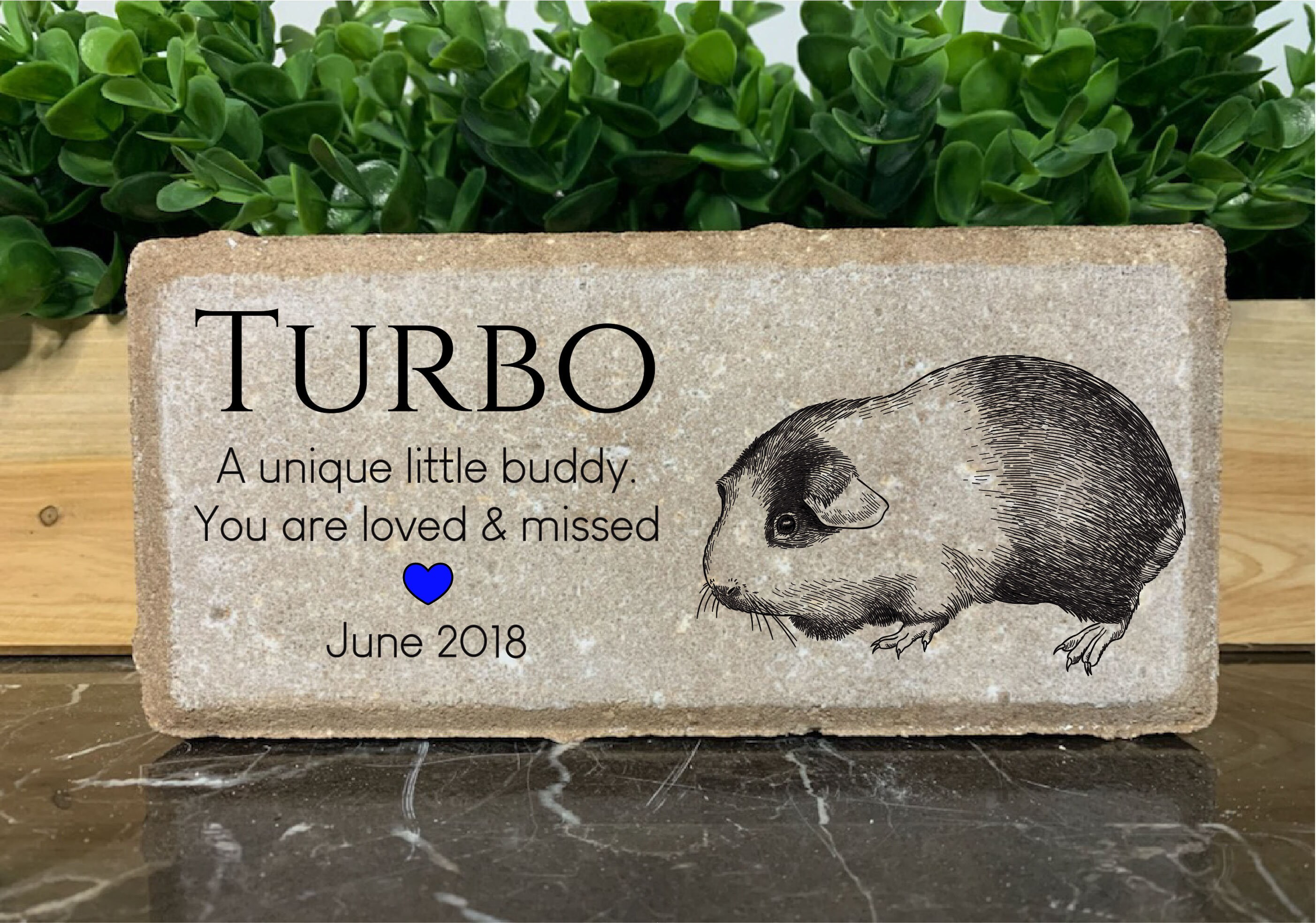 Guinea Pig Memorial Stone - Personalized Rainbow Bridge Pet Loss Gift, UV Printed On Real Stone