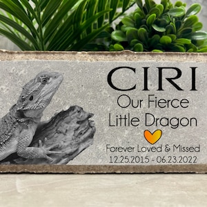 Lizard Pet Loss Memorial. Bearded Dragon. Beardie. 8x4 PERSONALIZED Burial Marker. Brick. Tumbled Paver Stone Outdoor/Indoor. Sympathy