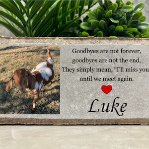 Pet Loss Memorial. Goat. Lamb. Sheep. 8x4 PERSONALIZED Burial Marker. Tumbled Paver Stone. Brick. Indoor/Outdoor. Sympathy Gift.