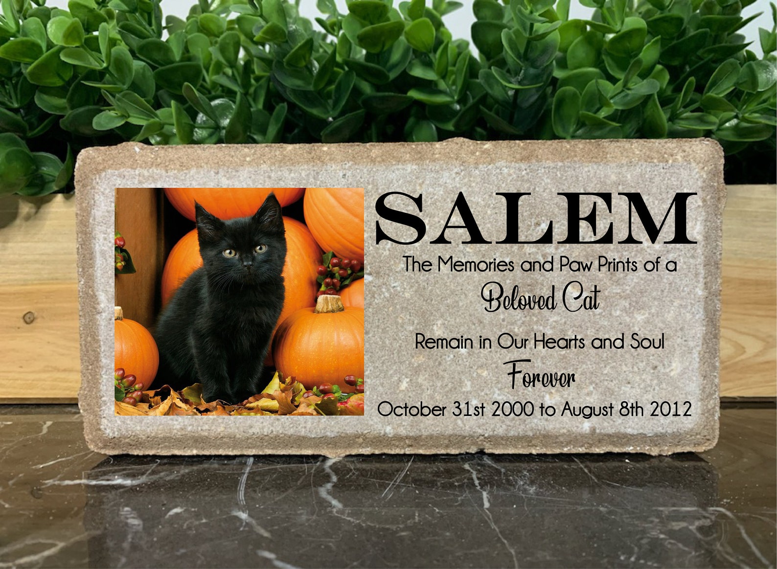 Personalized Cat Memorial Stone. 8x4 Stone Brick. Burial Etsy