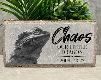 May include: A gray concrete memorial block with a black and white photo of a bearded dragon. The text "Chaos Our Little Dragon 2008 - 2022" is printed on the block.