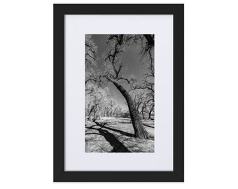 Rio Bravo Riverside picnic area In The Winter Matte Framed Poster With Mat