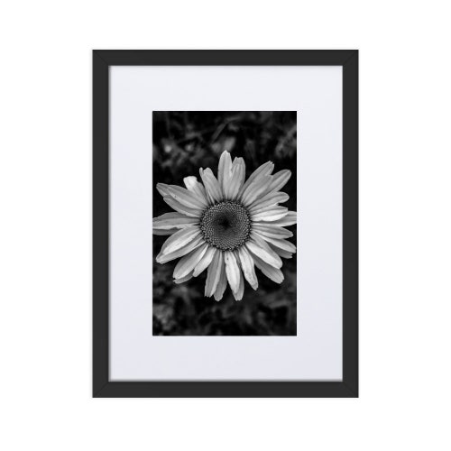 Wildflower Matte Framed Poster With shops Mat