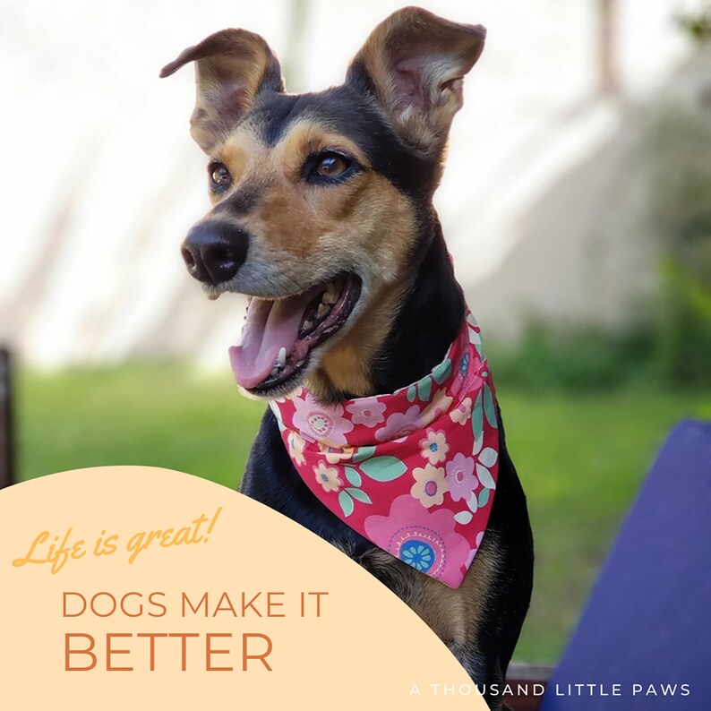 Over the Collar Dog Bandana Tutorial PDF Pattern Dog Bandana Sewing Dog