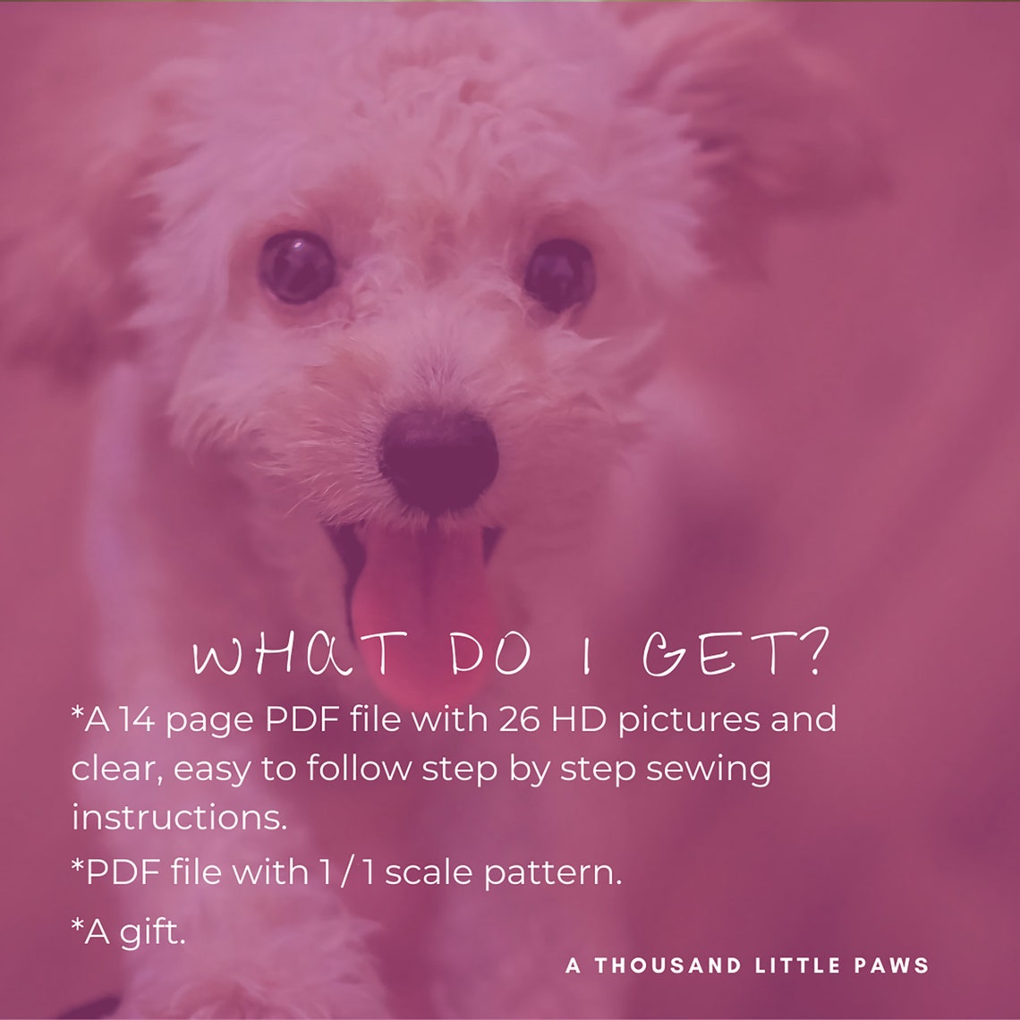 PDF Sewing Pattern Tshirt for Dog Dog Clothes Shirt Pattern and Tutorial Clothes for Dogs