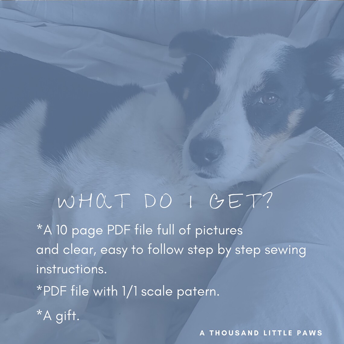 Tie on Dog Bandana Dog Bandana PDF Bandana Tutorial Dog Accessories Pet ...