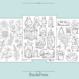 May include: A black and white printable coloring page featuring a collection of botanical illustrations. The page includes various plants, flowers, terrariums, and jars. The text "Reydaprints" is at the bottom of the page.
