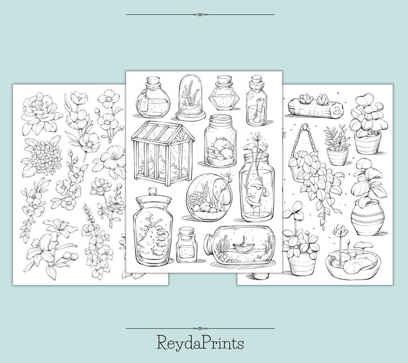 May include: A black and white printable coloring page featuring a collection of botanical illustrations. The page includes various plants, flowers, terrariums, and jars. The text "Reydaprints" is at the bottom of the page.