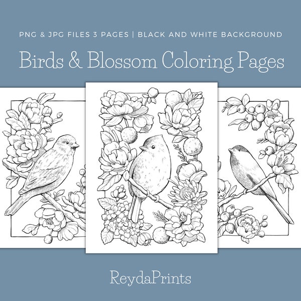 Bird And Blossoms Coloring Pages, Printables, Birds, Flowers,Handdrawn, Procreate, ReydaPrints