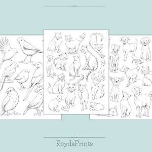 May include: Three black and white printable coloring pages featuring various animals. The first page has a variety of birds, the second page has cats, and the third page has dogs.
