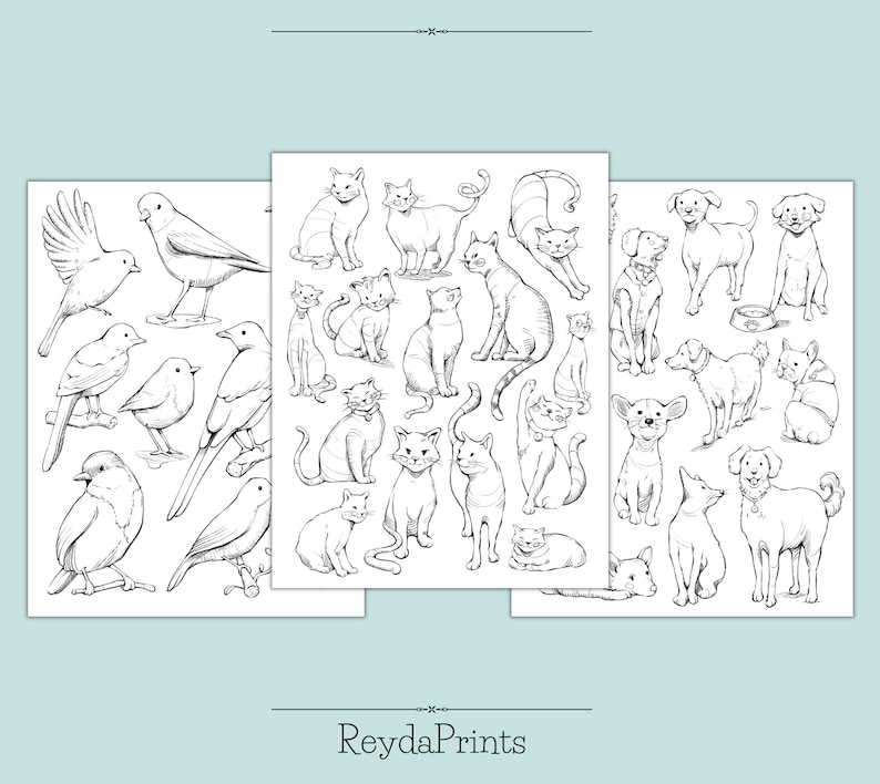 May include: Three black and white printable coloring pages featuring various animals. The first page has a variety of birds, the second page has cats, and the third page has dogs.