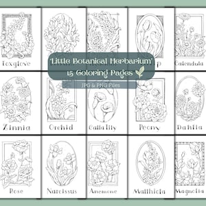 Herbier botanique, pages à colorier numériques, fleurs, lot, procréer, dessinées à la main, ReydaPrints