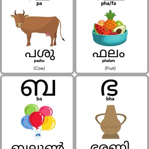 K&ouml;nnte beinhalten: Vier farbige Karteikarten mit Malayalam-Alphabetbuchstaben, W&ouml;rtern und Illustrationen. Die Buchstaben sind 'pa', 'pha/fa', 'ba' und 'bha'. Die Illustrationen sind eine braune Kuh, eine Sch&uuml;ssel mit Obst, ein B&uuml;ndel Ballons und ein braunes Gef&auml;&szlig;.
