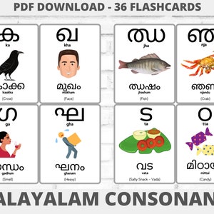 Malayalam Alphabet Flashcards Malayalam Consonants Learn -  Norway