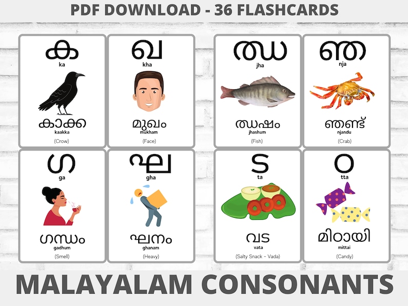 K&ouml;nnte beinhalten: Ein Satz von 36 Lernkarten mit den malayalamischen Konsonanten. Jede Karte zeigt einen Buchstaben, ein Bild und das entsprechende Wort in Malayalam mit der englischen &Uuml;bersetzung in Klammern. Die Karten sind wei&szlig; mit schwarzem Text und Illustrationen.