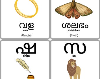 Malayalam Alphabet Flashcards Malayalam Consonants Learn -  Denmark