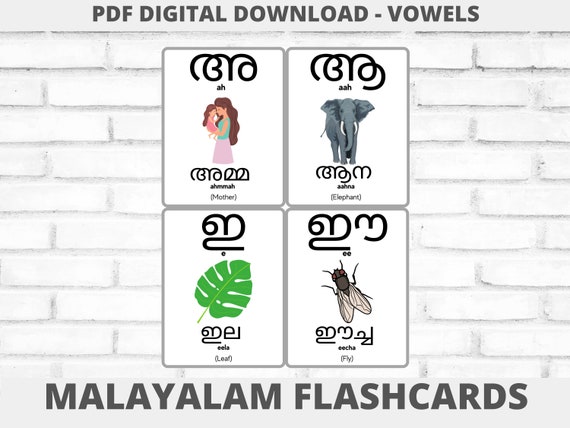 malayalam vowels swaraksharangal flashcards etsy