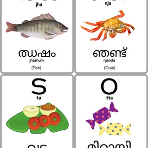 K&ouml;nnte beinhalten: Vier illustrierte Karten mit Malayalam-Buchstaben und englischen &Uuml;bersetzungen. Die Karten zeigen einen Fisch, eine Krabbe, einen Teller Vadas und ein Bonbon.
