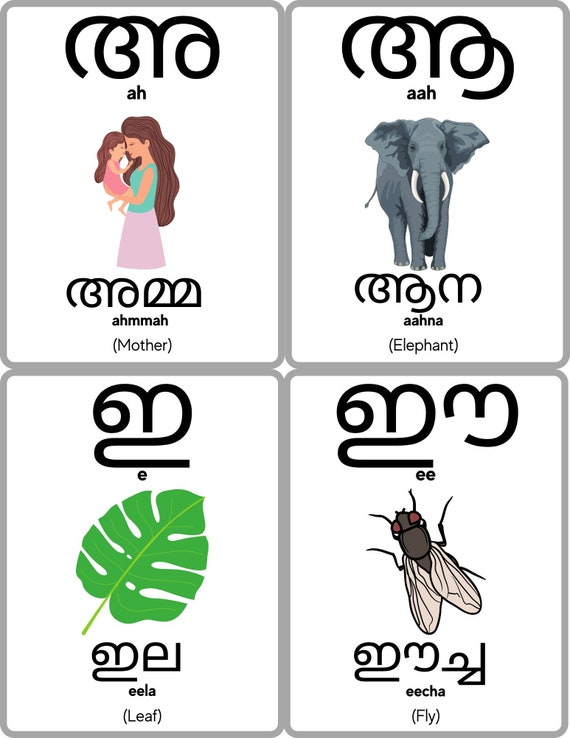 Malayalam Alphabet Flashcards Malayalam Consonants Learn -  Denmark