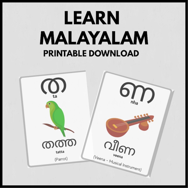 K&ouml;nnte beinhalten: Zwei druckbare Lernkarten f&uuml;r das Malayalam-Alphabet. Die erste Karte zeigt den Buchstaben 'ta' mit einer Illustration eines gr&uuml;nen Papageis und das Wort 'tatta', was Papagei bedeutet. Die zweite Karte zeigt den Buchstaben 'nha' mit einem braunen Veena-Musikinstrument und das Wort 'veena'.