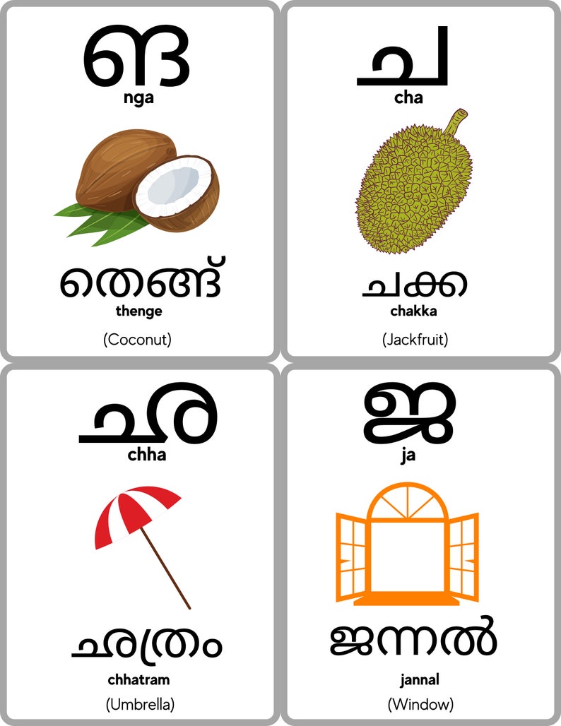 Malayalam Alphabet Flashcards Malayalam Consonants Learn Etsy
