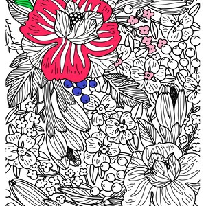 May include: A black and white line drawing of a floral bouquet with pink, red, and blue flowers. The flowers are surrounded by leaves and berries.