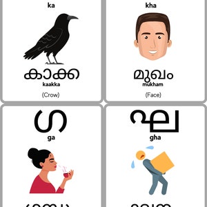 K&ouml;nnte beinhalten: Vier illustrierte Karten mit schwarzem Text und Malayalam-Schrift. Jede Karte zeigt einen Buchstaben des Malayalam-Alphabets, ein dazugeh&ouml;riges Bild und die englische &Uuml;bersetzung des Buchstabensounds. Die erste Karte zeigt den Buchstaben 'ka' mit einer schwarzen Kr&auml;he. Die zweite Karte zeigt den Buchstaben 'kha' mit einem l&auml;chelnden Gesicht. Die dritte Karte zeigt den Buchstaben 'ga' mit einer Frau, die an einer Tasse Tee riecht. Die vierte Karte zeigt den Buchstaben 'gha' mit einer Person, die eine schwere Kiste tr&auml;gt.