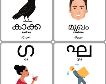 Malayalam Alphabet Flashcards Malayalam Consonants Learn -  Denmark