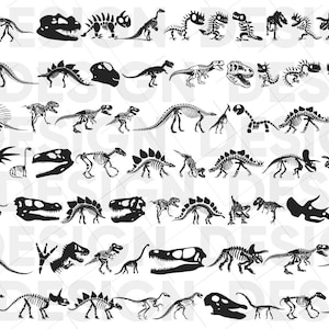 70+ 恐竜の骨格 SVG バンドル、恐竜の骨格のシルエット、恐竜の骨格のクリカット、恐竜の骨格のベクター、恐竜の骨格の png
