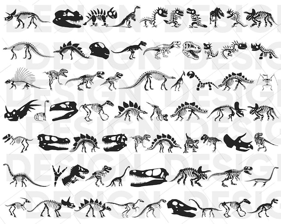 70 DINOSAUR SKELETON SVG Bundle Dinosaur Skeleton | Etsy