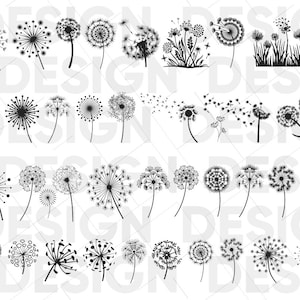 35+ PAARDEBLOEMEN BLOEM SVG Bundel, paardenbloem png, paardebloem silhouet, paardenbloem cricut, paardenbloem vector, paardenbloem eps, paardenbloem dxf