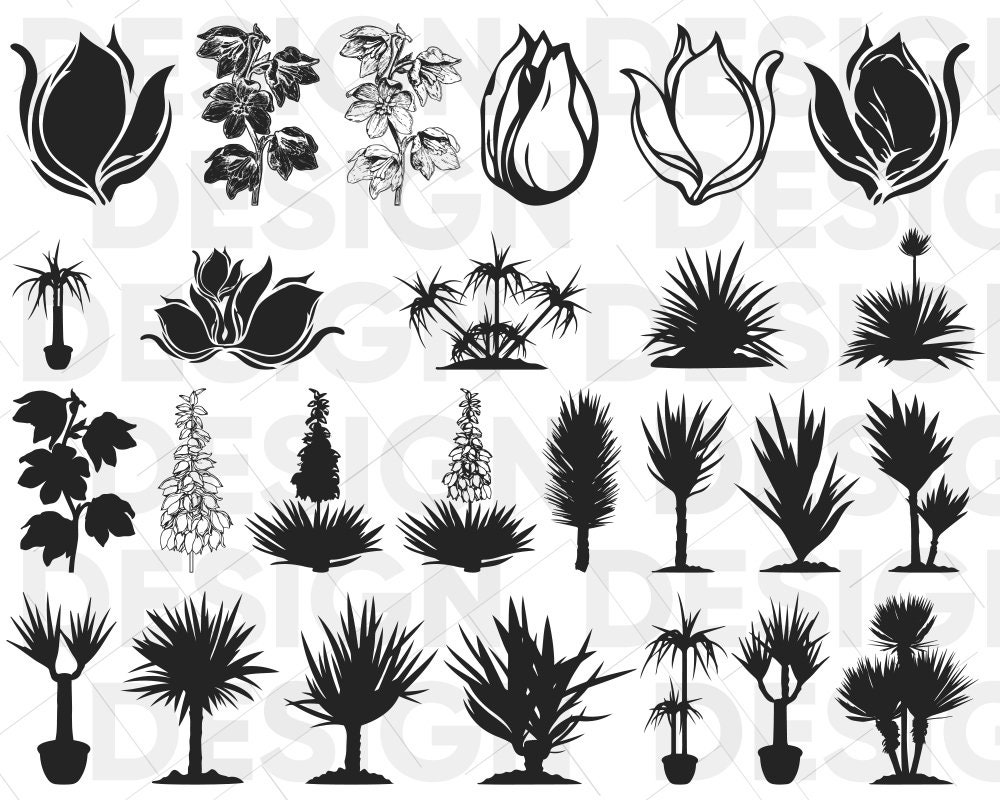 25+ YUCCA SVG BUNDLE, yucca garden, yucca flower, yucca plant, yucca leaf palm, yucca tree, yucca  png, yucca svg silhouette, yucca  vector