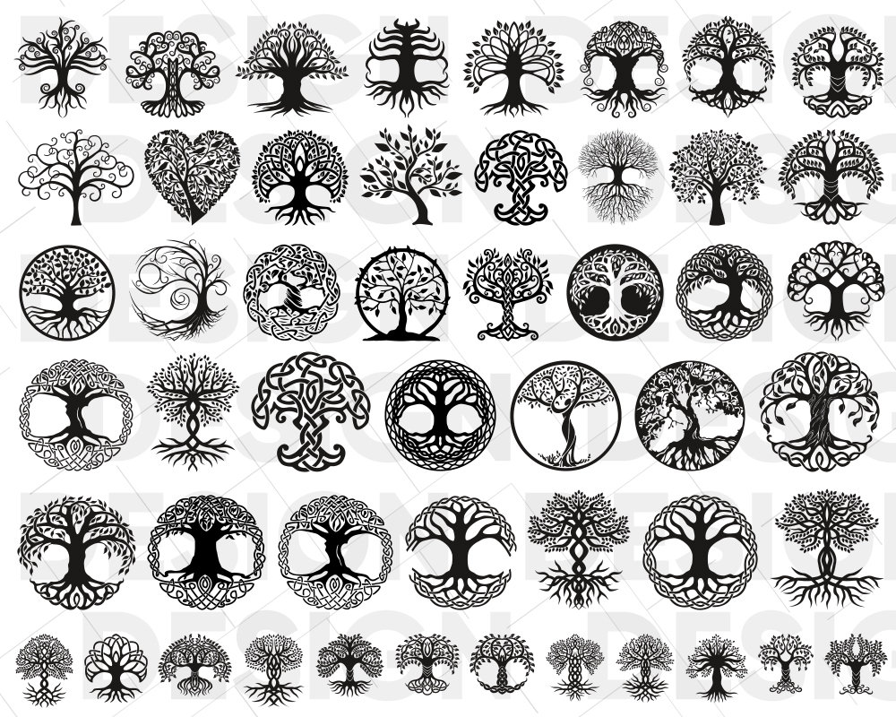 50 CELTIC TREE SVG Celtic Tree of Life Graphic Bundle Etsy