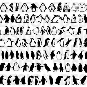 100 + PENGIUM SVG BUNDEL, pinguïn bundel, winter svg, dier svg, sneeuw svg, pinguïn vector, pinguïn png, pinguïn eps, pinguïn cut file