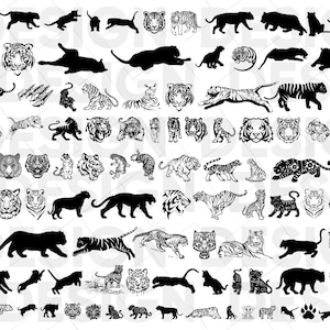 120+ TIGERS SVG BUNDLE, Tiger Grafik Bundle, Tiger Chinese New Year Svg, Tiger svg, Tiger svg, Tiger Clipart, Tiger Silhouette, Schablone