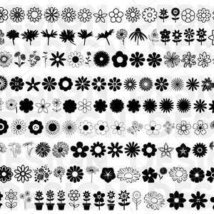 150+ DAISY SVG BUNDLE, daisy png, daisy clipart, daisy vector, daisy graphics, daisy silhouette, daisy cricut, daisy eps, daisy dxf