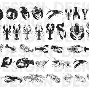 40+ CRAWFISH SVG Bundle, crawfish silhouette, crawfish drawing, crawfish images, crawfish vector, crawfish graphics, crawfish illustration