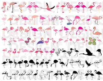100+ FLAMINGO SVG-PAKET, flamingo clipart, rosa flamingo svg, flamingo svg för Cricut