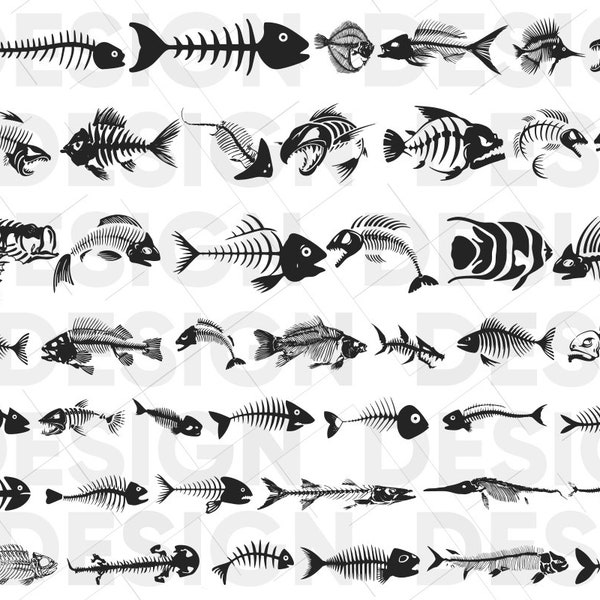 40+ FISH SKELETON SVG Bundle, fish skeleton silhouette, fish skeleton cutting, fish skeleton cricut, fish skeleton png, fish skeleton eps