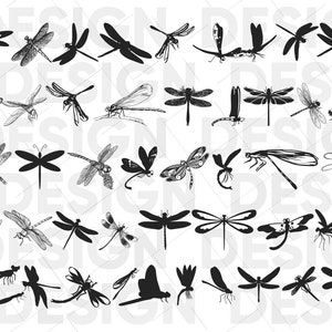 40+ DRAGONFLY SVG Bundle, dragonfly outline svg, dragonfly png, dragonfly silhouette, dragonfly cricut, dragonfly eps, dragonfly dxf
