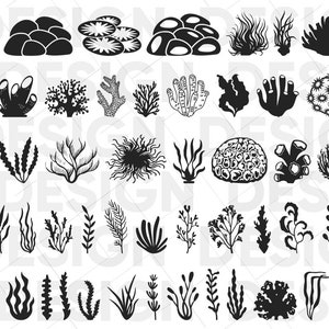 45+ CORALS SVG BUNDLE, coral silhouette, coral png, coral images, coral cricut, coral vector, coral svg, coral cutting, coral print