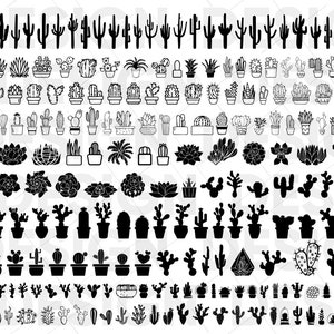 250+ CACTUS SVG BUNDLE, succulent svg, house plant bundle, cactus png, cactus vector, cactus clipart, cactus stencil. decalcomania di cactus